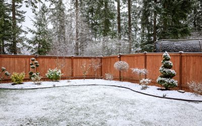 ¿Por qué no debo olvidarme de mi jardín en invierno?